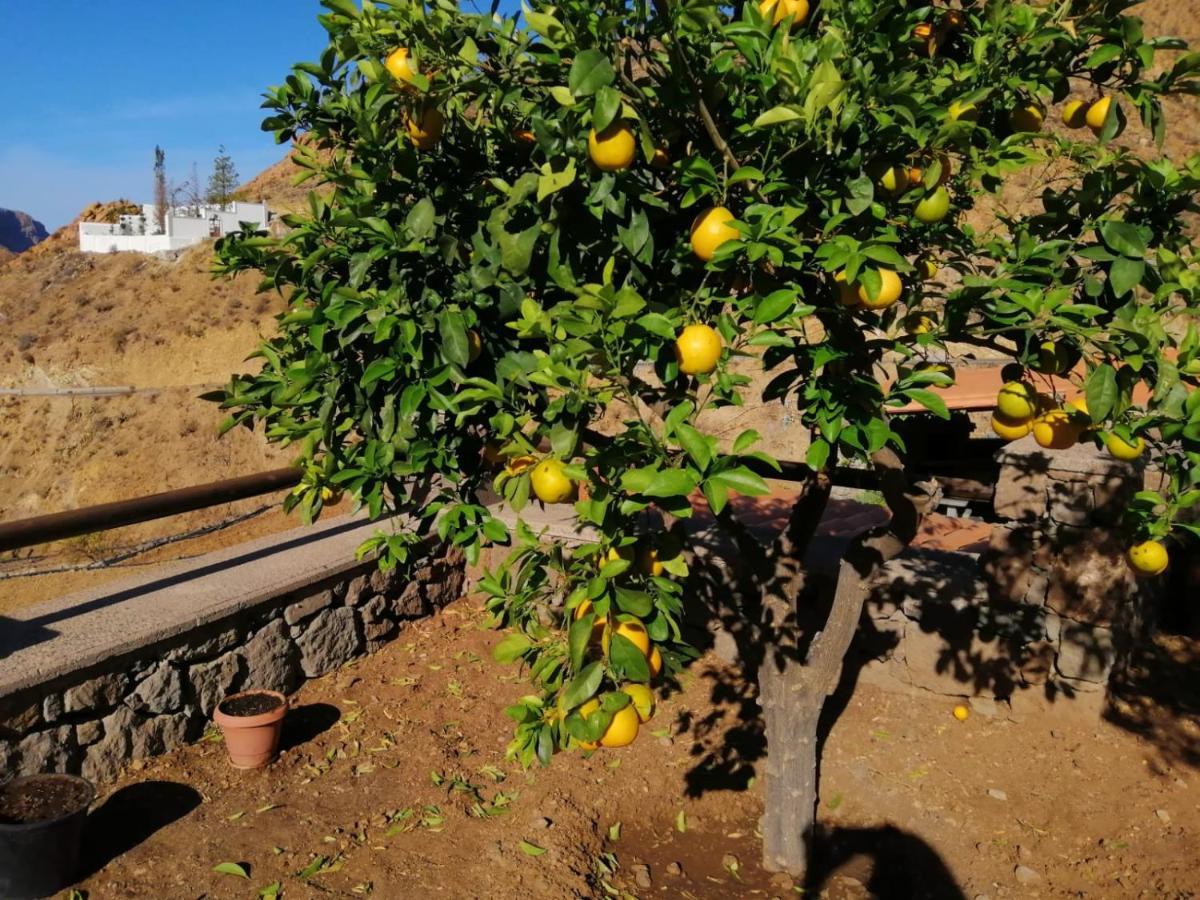 Вілла Casa Rural La Solana Техеда Екстер'єр фото